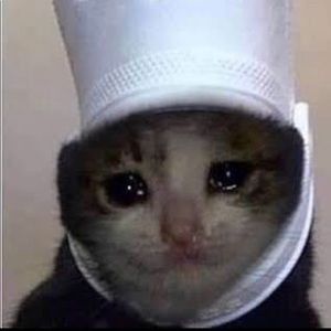 Meet your Posher, Gianna